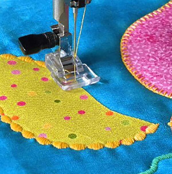 2PCS Applique Clear Presser Foot for All Low Shank Snap On Singer