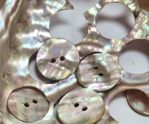 14L-40L Abalone Shell 2-Hole Knitting Buttons 9-Size 99 Pack