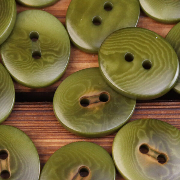 Oval Two-Eye Natural Fruit Buttons for Kids' Clothing 20 Pack