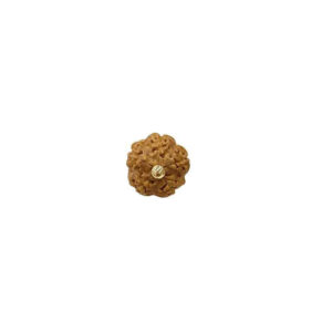 9mm Irregular Brown Fruit Seed & Shell Buttons 20pcs