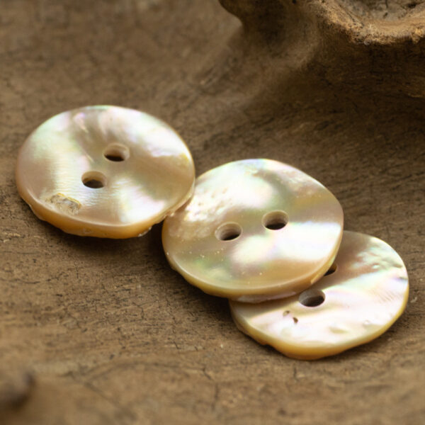 Irregular Curved Natural Abalone Shell Buttons 10 Pack