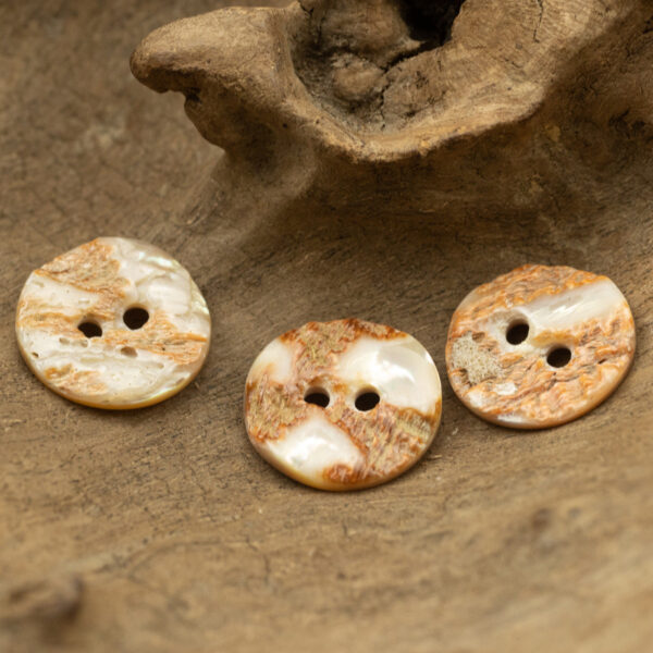 Irregular Curved Natural Abalone Shell Buttons 10 Pack