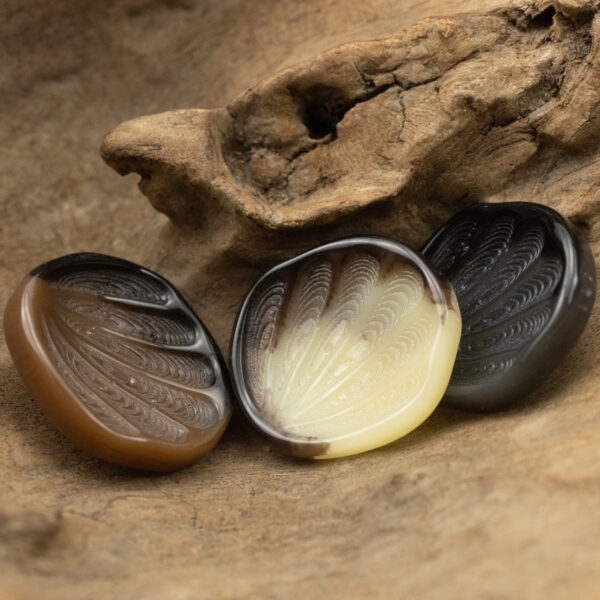 21-34mm Fan-Shaped Resin Shank Buttons with Feather Texture 10pcs - Image 3