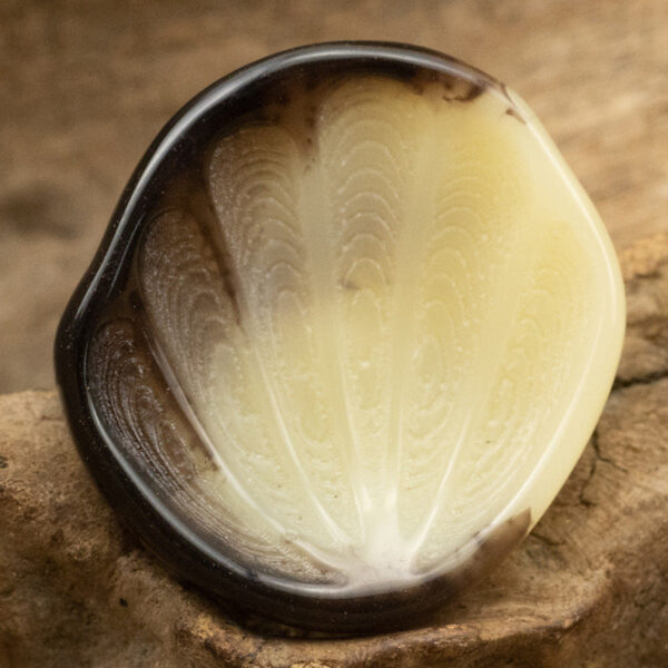 21-34mm Fan-Shaped Resin Shank Buttons with Feather Texture 10pcs - Image 4