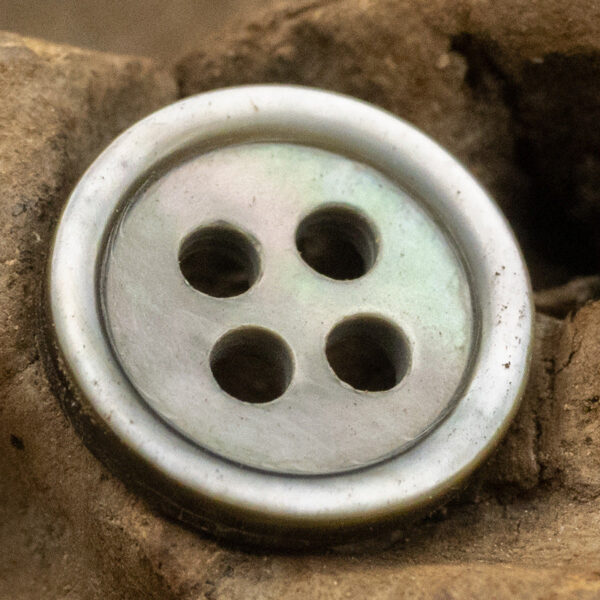 Tarot Shell Buttons Round 11.5mm 10 Pack