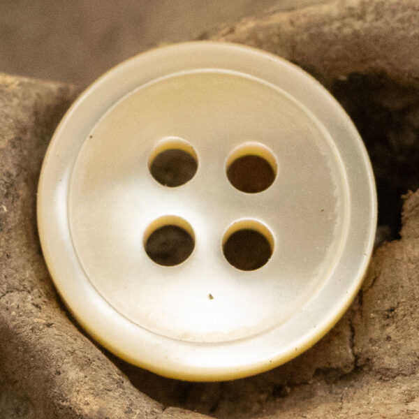 Tarot Shell Buttons Round 11.5mm 10 Pack